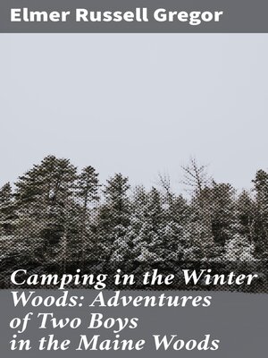 cover image of Camping in the Winter Woods